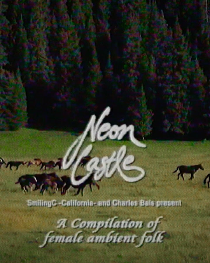 Various Artists - Neon Castle LP *restock