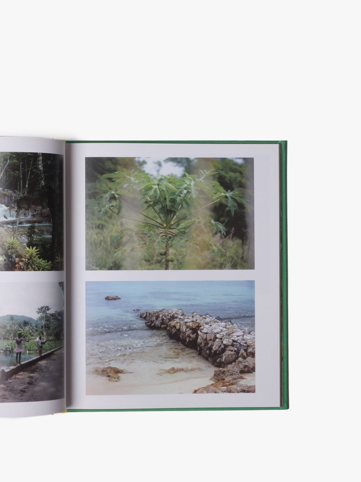 The Family Acid - Jamaica Book (+ Peter Tosh Postcard)