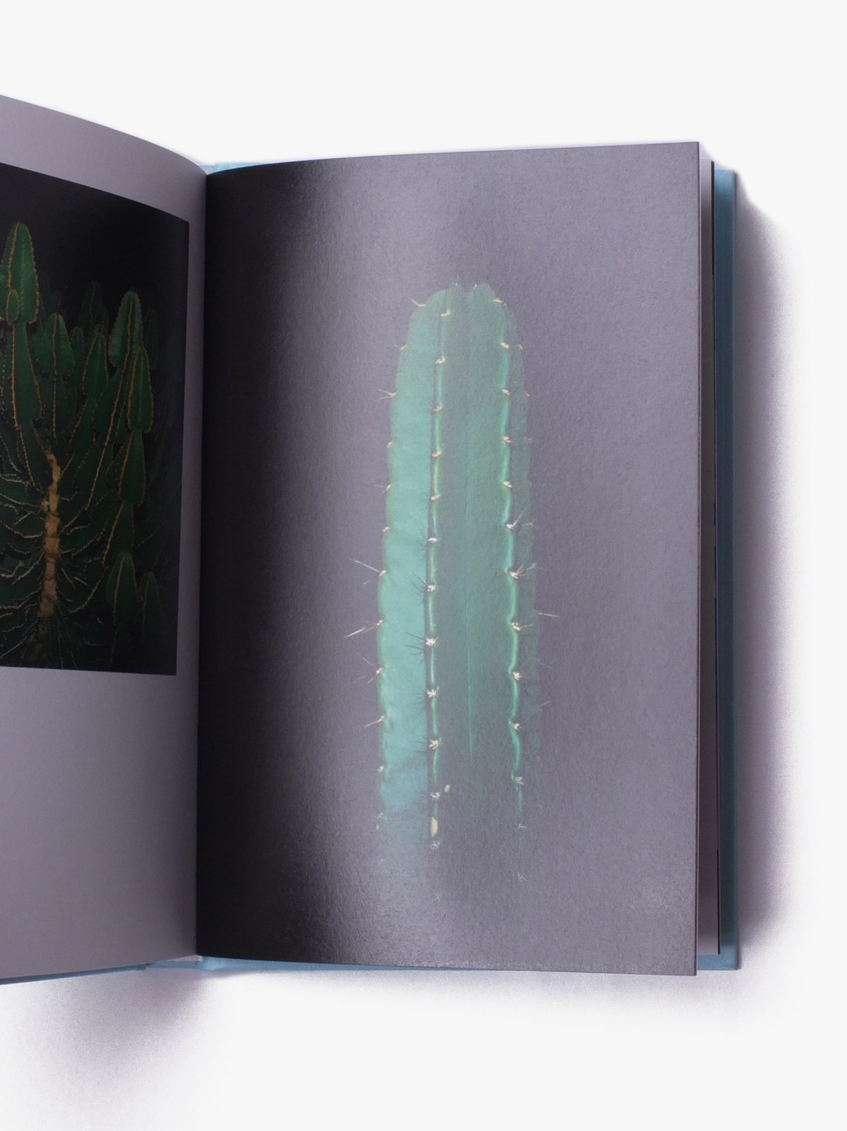 Strange Plants - Issue 3
