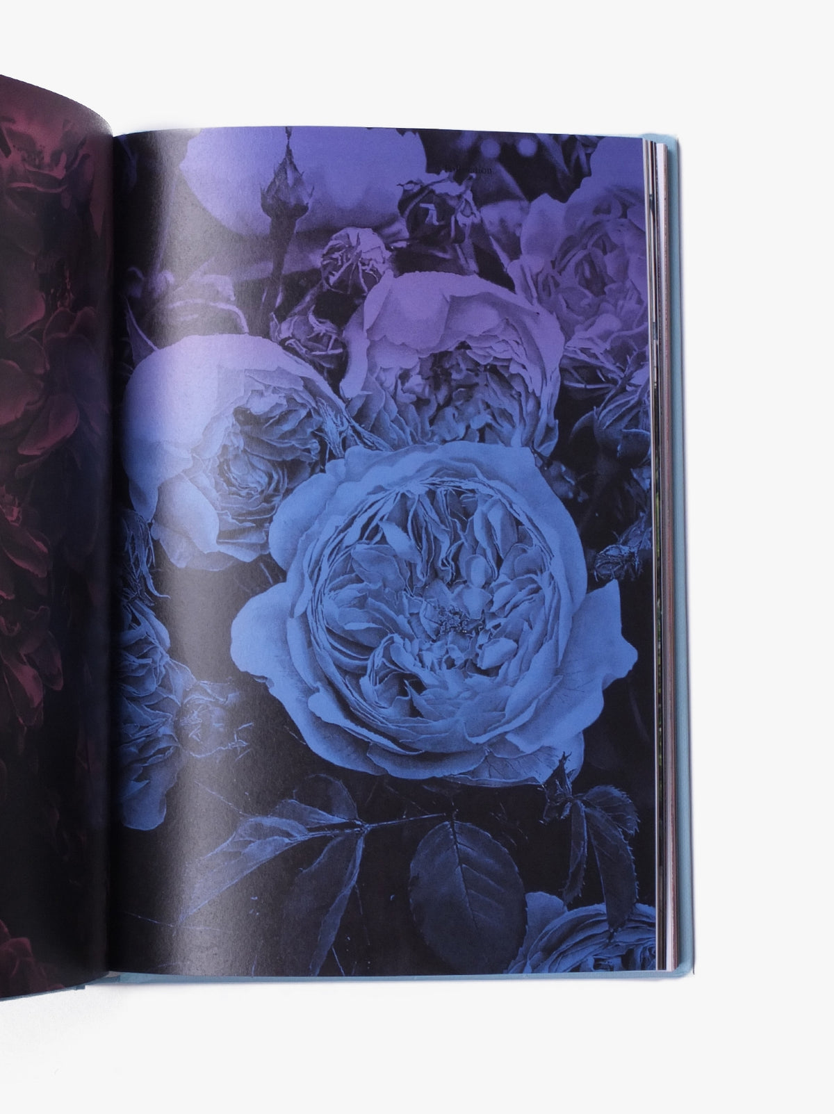 Strange Plants - Issue 3