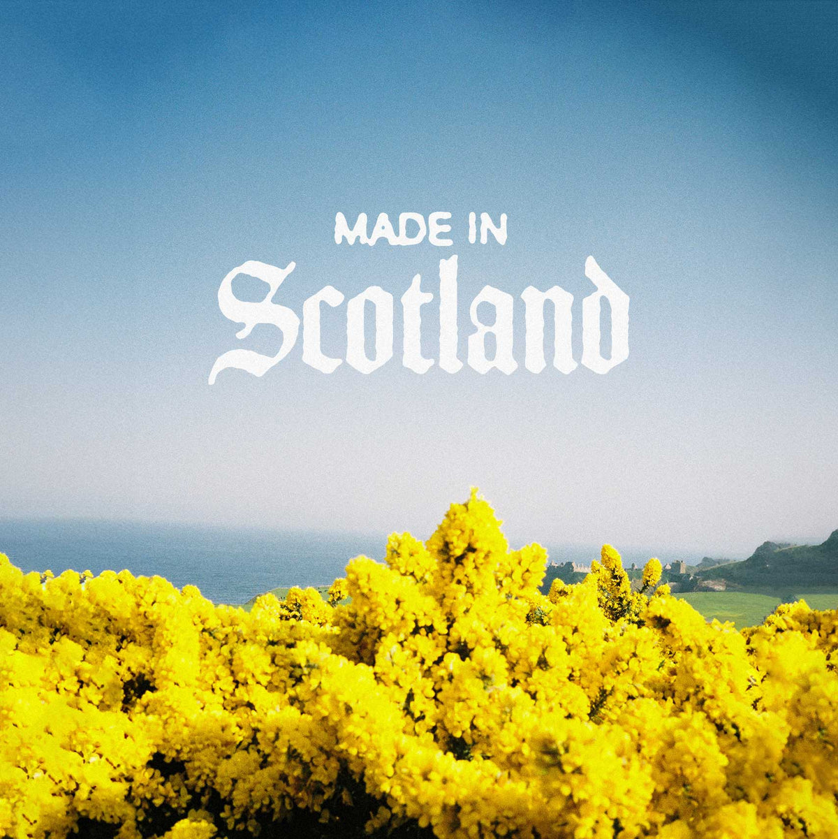 Made in Scotland All