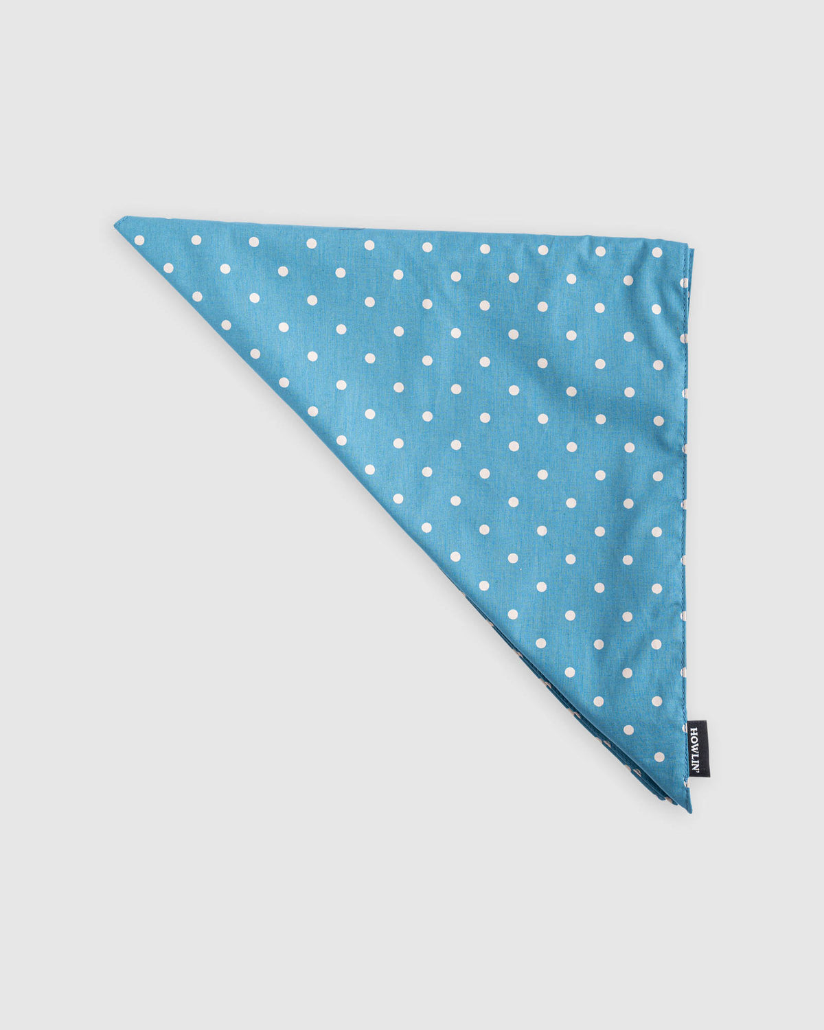 Bandana Lovers - Polka - Diesel Mix